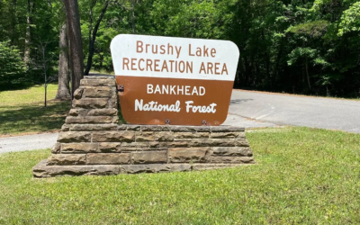 Brushy Lake Recreation Area